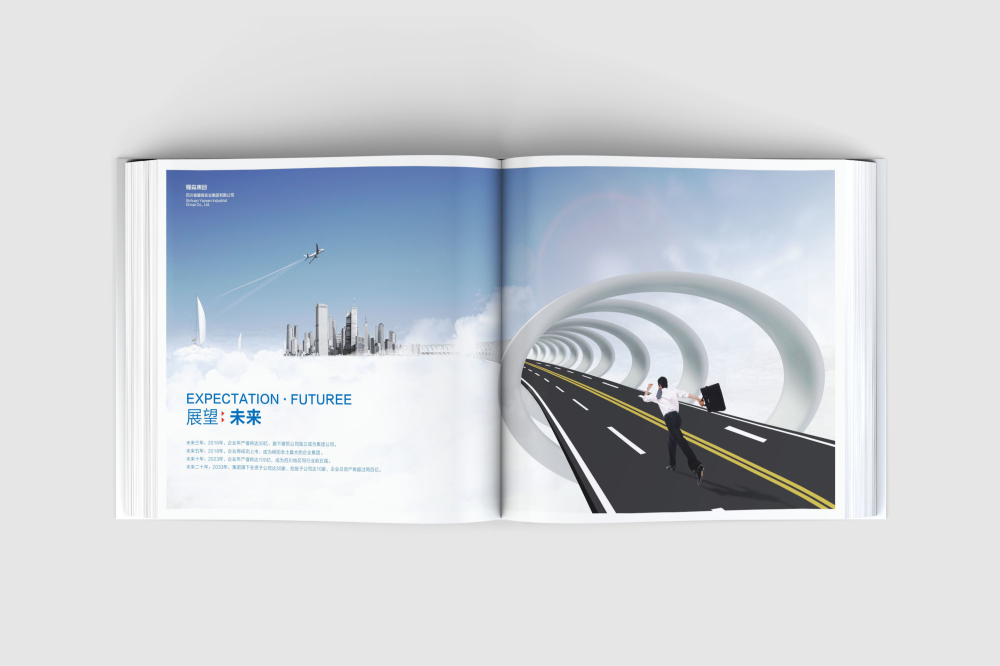 元坝区画册设计